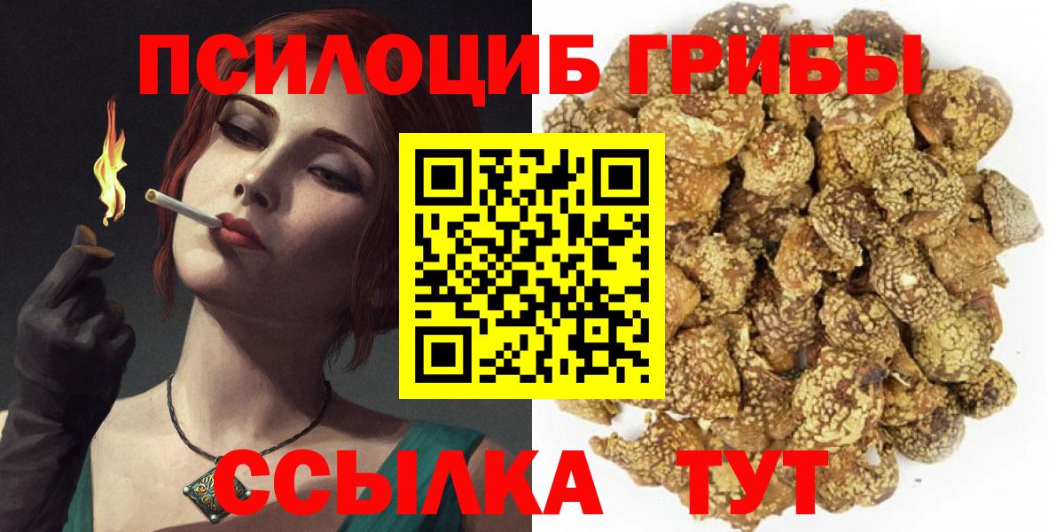 Ирбит  Галлюциногенные грибы MAGIC MUSHROOMS  Вход с VPN 
